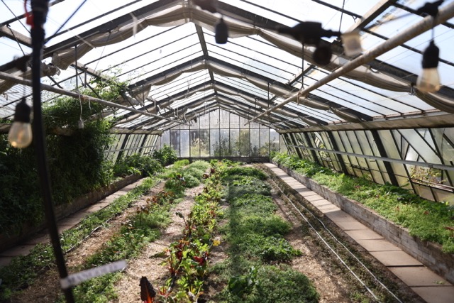 Farmführungen